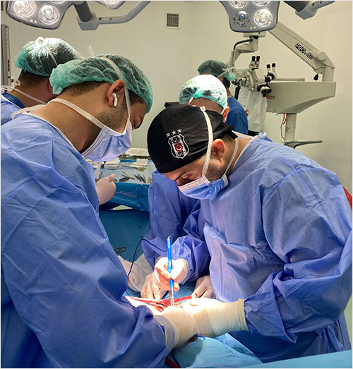 Penile Prosthesis Surgery Turkey