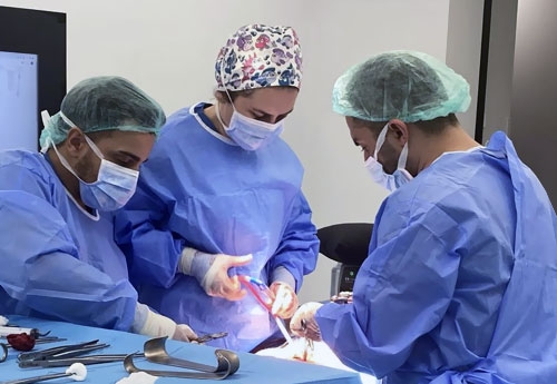 Bladder Cancer Surgery Turkey