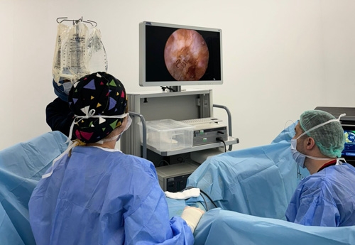 Turquie De Chirurgie Holep